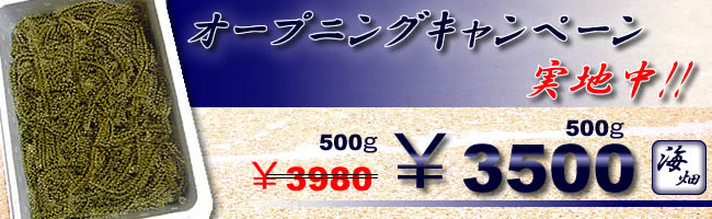 海ぶどうキャンペーン